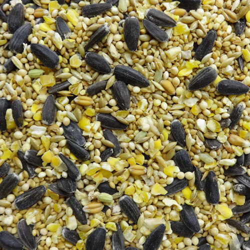 エクセル 野鳥のまき餌 小型 1 4 その他 小鳥の主食 ナチュラルペットフーズ株式会社